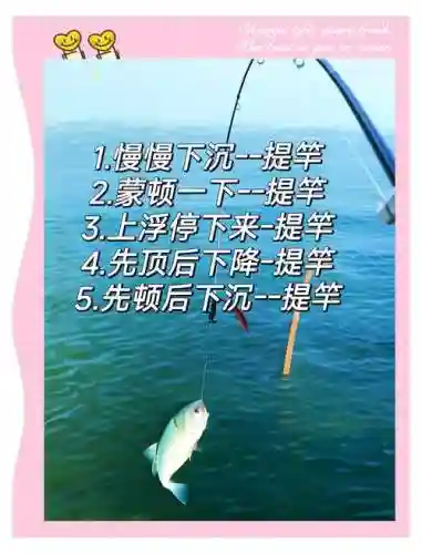 全民钓鱼钓竿附加技能插图