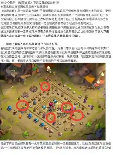 猎蝽蚁阵容搭配插图