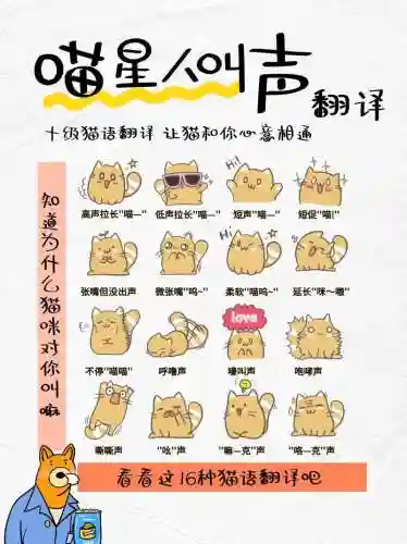 回复猫带什么技能插图1
