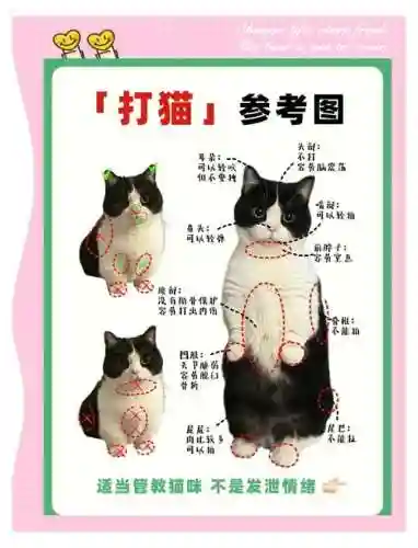 合猫猫攻略_1插图