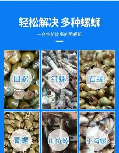 田螺装备选择插图1