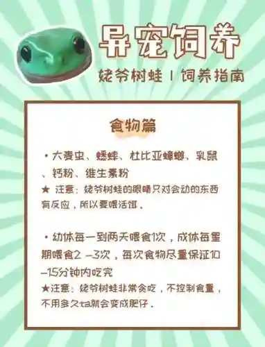 最近火的养蛙游戏攻略_1插图
