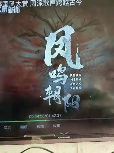 凤鸣朝阳阵容插图