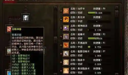 传奇65大技能加点_1插图