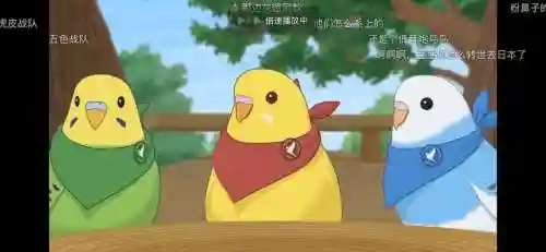 鹦舞阵容_1插图1