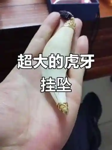 虎牙闪打装备，虎牙一闪插图1