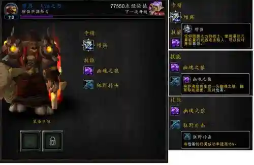 萨满职业大厅追随者装备推荐，萨满随从插图