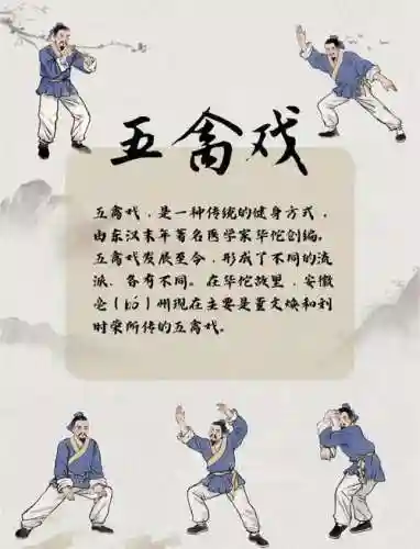 六扇门风吴氏暮葬攻略，六扇门风云五禽戏插图