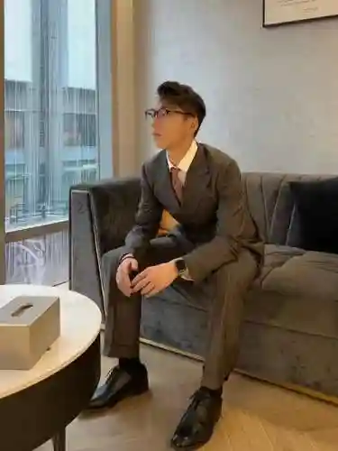 斯文阵容搭配，斯文装备插图