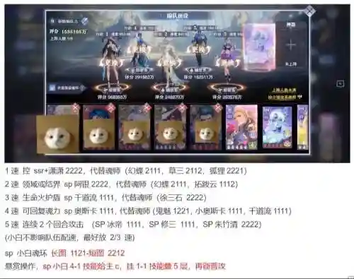 小白搭配什么阵容最好，小白值得培养吗插图