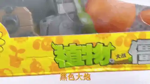 植物大战僵尸2攻略海盗加农炮，植物大战僵尸2海盗15天简单插图