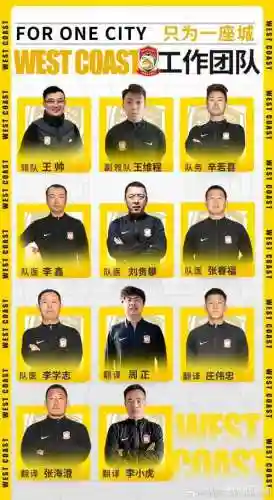 最佳阵容教练搭配，最佳阵容教练搭配图插图