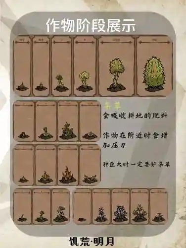 饥荒种植攻略，饥荒种植攻略视频插图