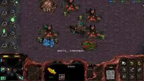 星际1宏图攻略，星际争霸1宏图多少农民插图1
