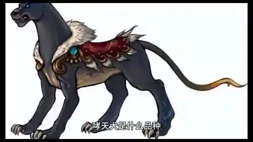 梦幻西游手游哮天犬未开通纹饰，梦幻西游手游 哮天犬插图1