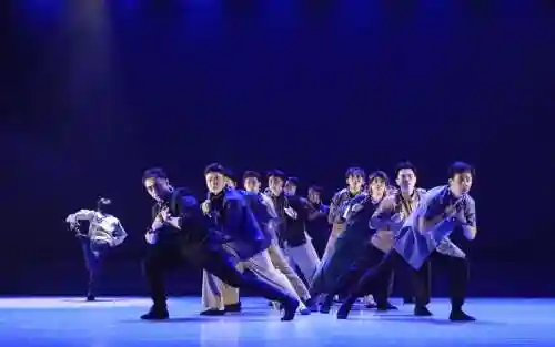 舞蹈阵容搭配，舞蹈表演组合插图1