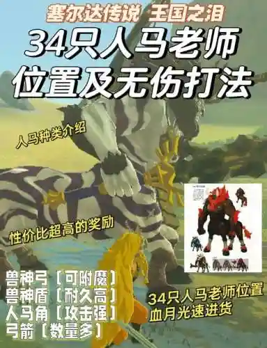 本人对人马的理解绝对的大型攻略，人马怎么针对插图