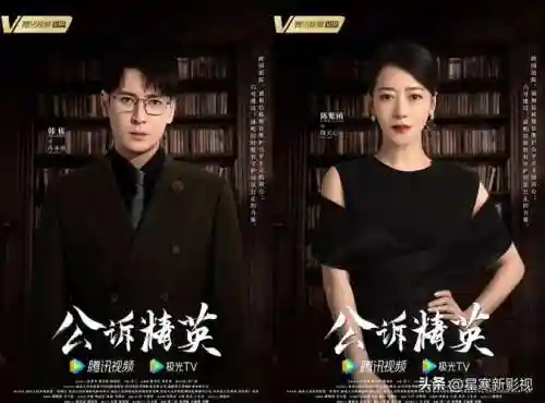 电视剧公诉精英阵容搭配，公诉精英什么时候播出插图1