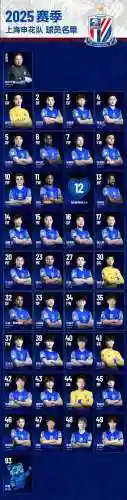 上海申花最佳搭配阵容，上海申花球队插图1