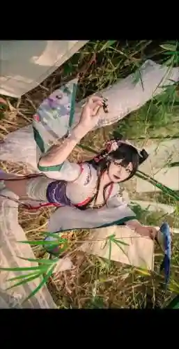 新版花鸟卷阵容搭配，花鸟卷 阵容插图1