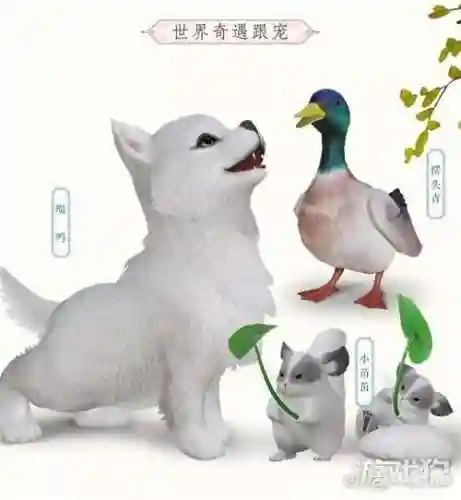 剑三唐门六只跟宠攻略,剑网三唐门跟宠攻略插图1 剑三唐门六只跟宠攻略,剑网三唐门跟宠攻略插图1