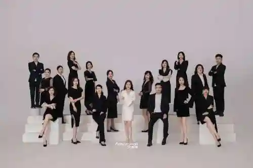 有限公司最强阵容搭配，有限公司怎么样-插图