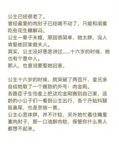 胖胖公主任务攻略，胖胖公主的故事插图