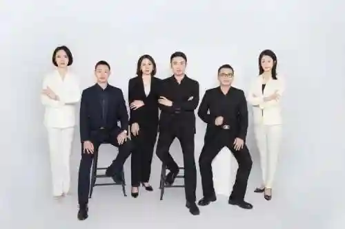 有限公司最强阵容搭配，有限公司怎么样-插图1